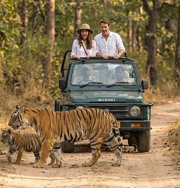 Nainital and Jim Corbett tour covering lake views and jungle safari
