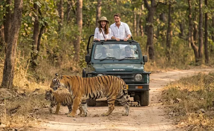 Nainital and Jim Corbett tour covering lake views and jungle safari